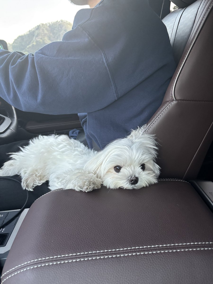 もじゅ tweet media