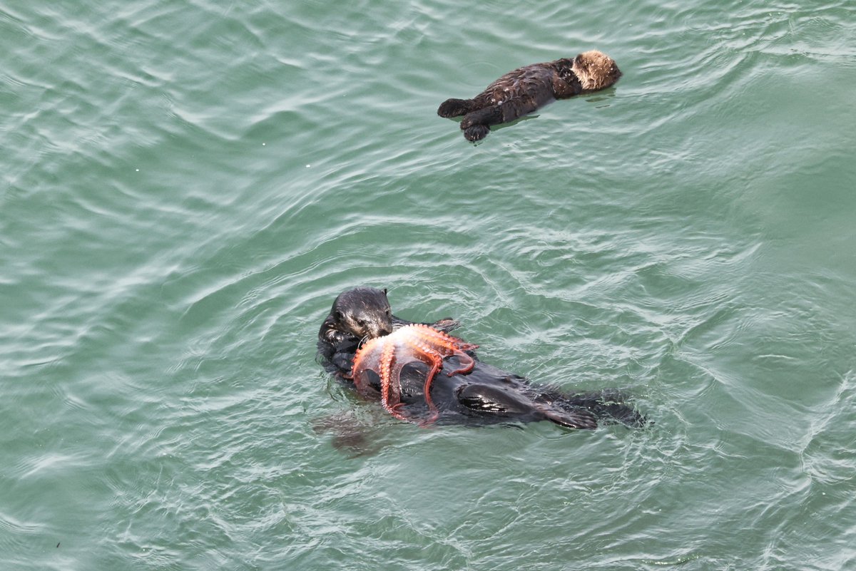 温根湯温泉の人♨️ tweet media