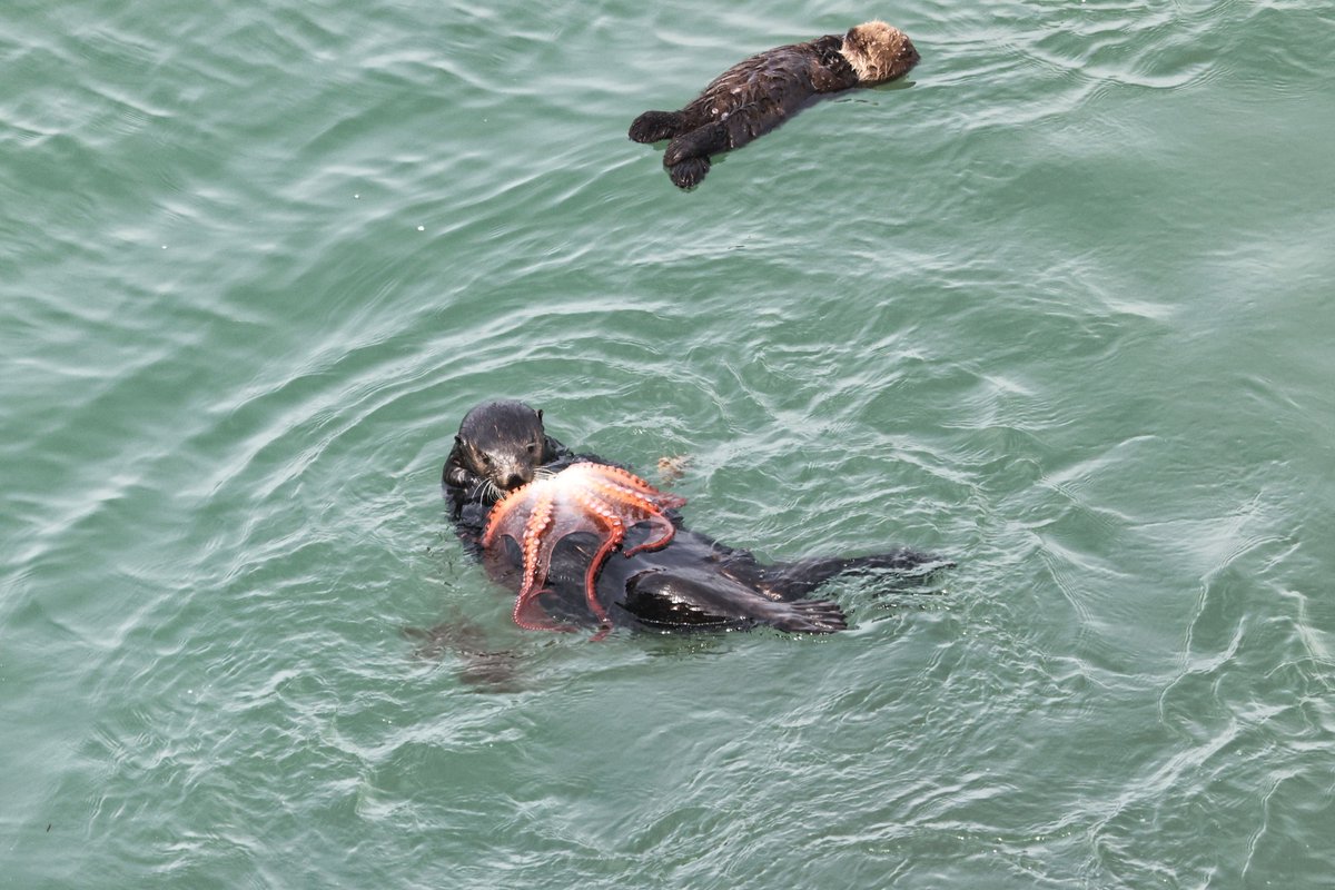 温根湯温泉の人♨️ tweet media