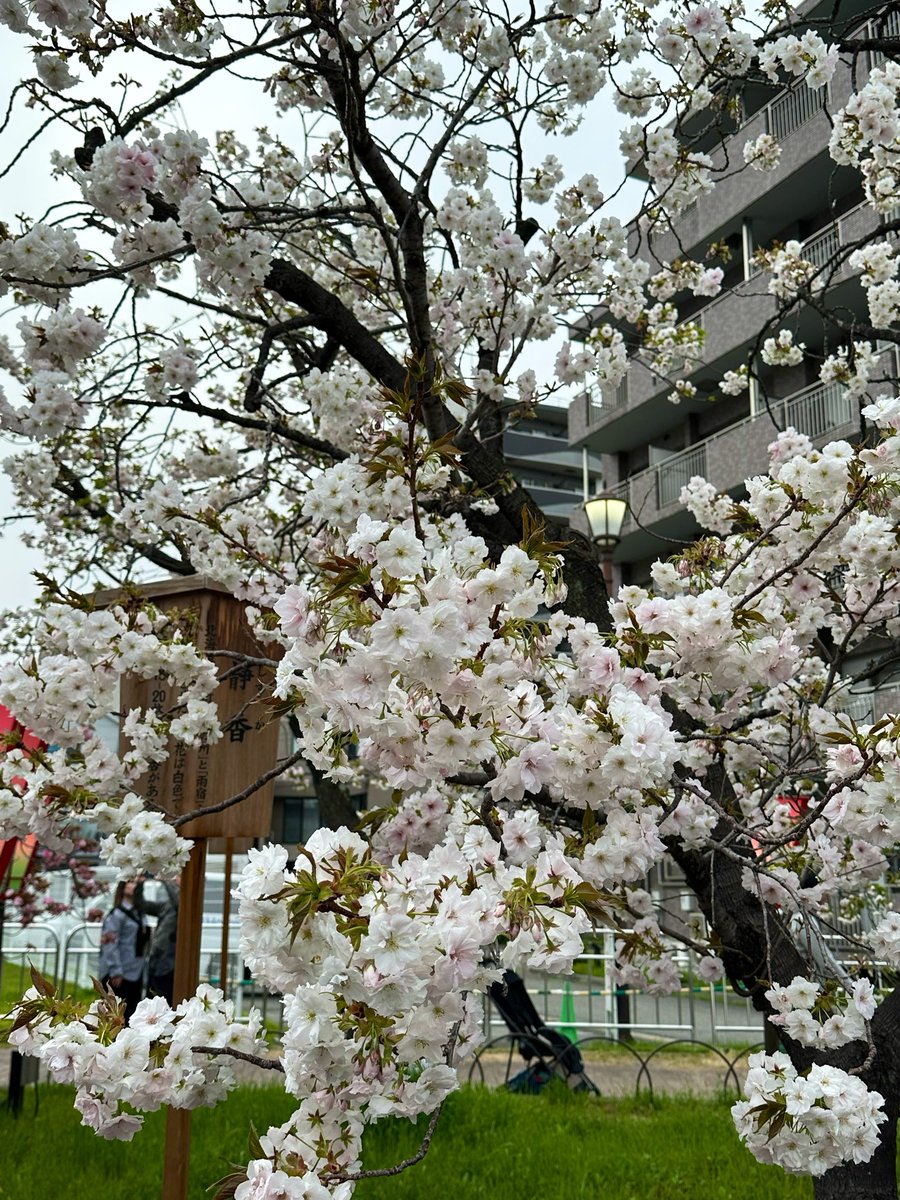 みさつきるあ💜4/16-18*神々🖖610🐭J🔥 tweet media