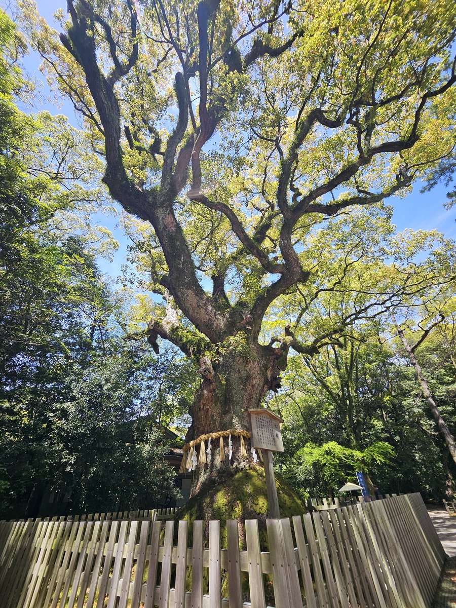 masato 74 HeavyEndurojp🤘 tweet media