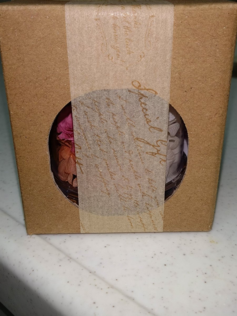 ミサワ（猫大好きの透析患者） tweet media