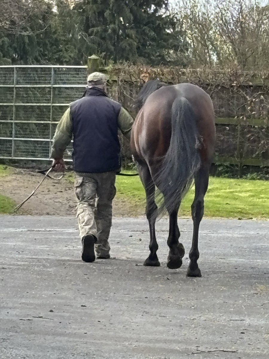 BallyhaneStud's tweet photo. Mykola with Sakheer https://t.co/kU1TvV4gFp