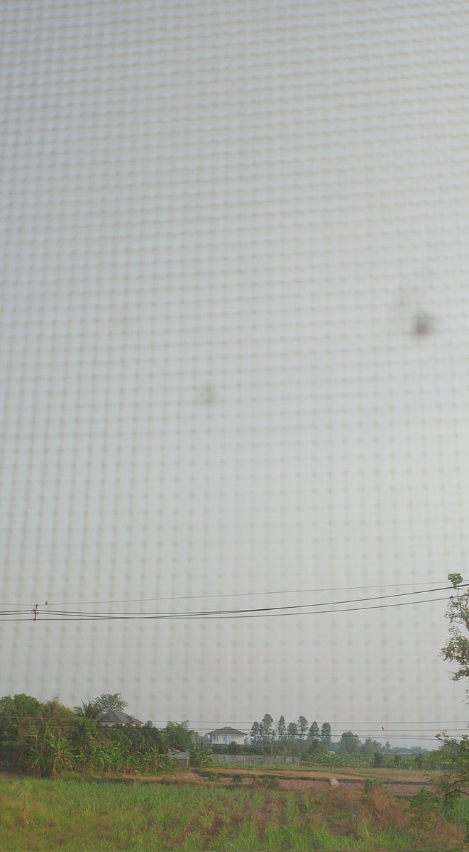 🐼ห้องพี่หมี🐻 tweet media