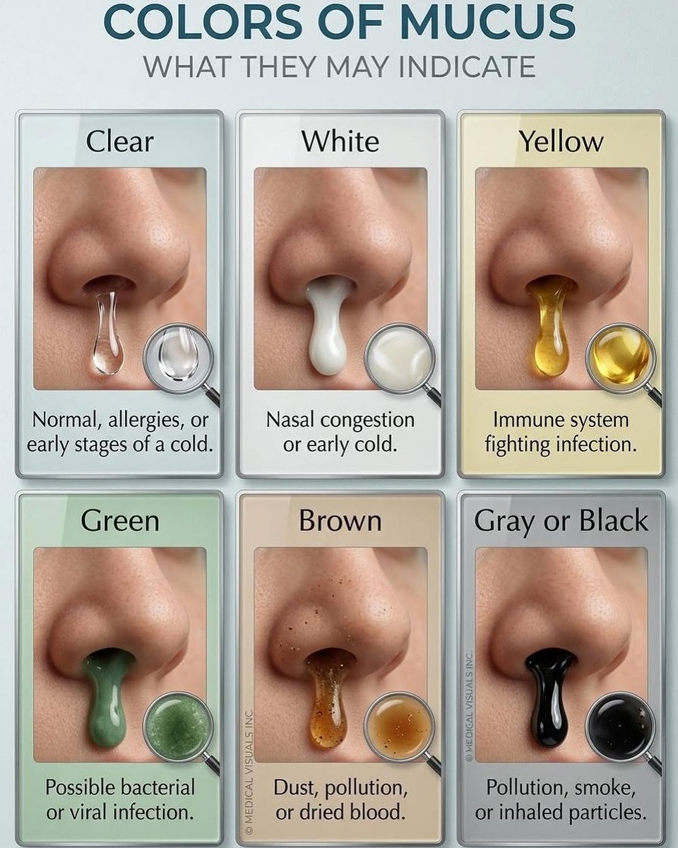 Learn Doctor tweet media