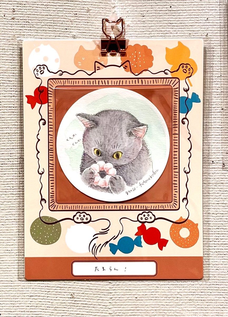 元祖ふとねこ堂 tweet media