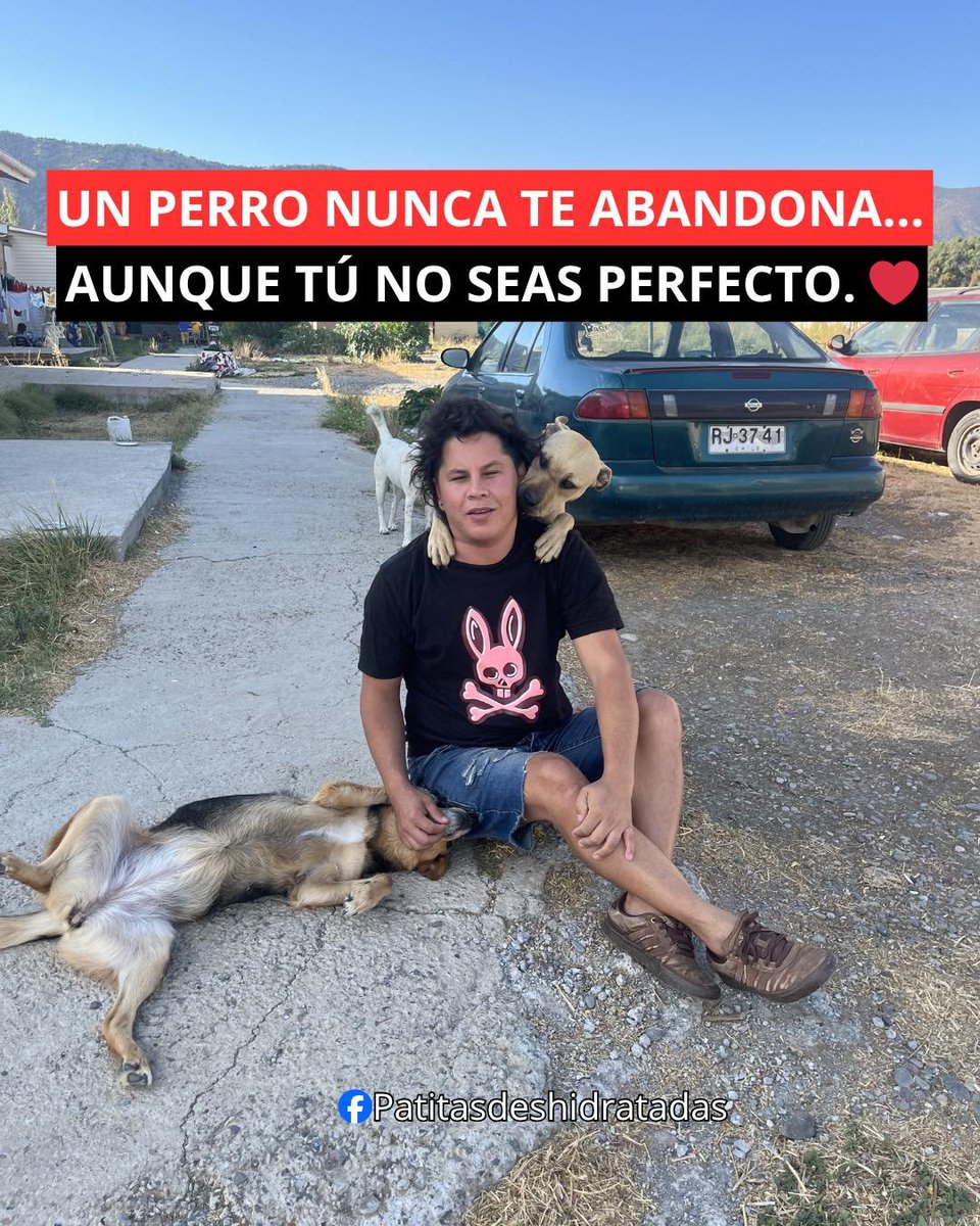 Roma traditoribus non praemiat (@albertr1978) on Twitter photo 