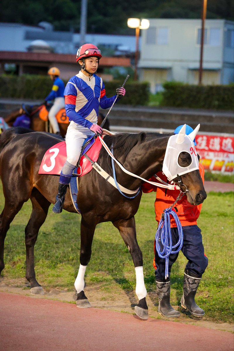 にぼしの出がらし tweet media