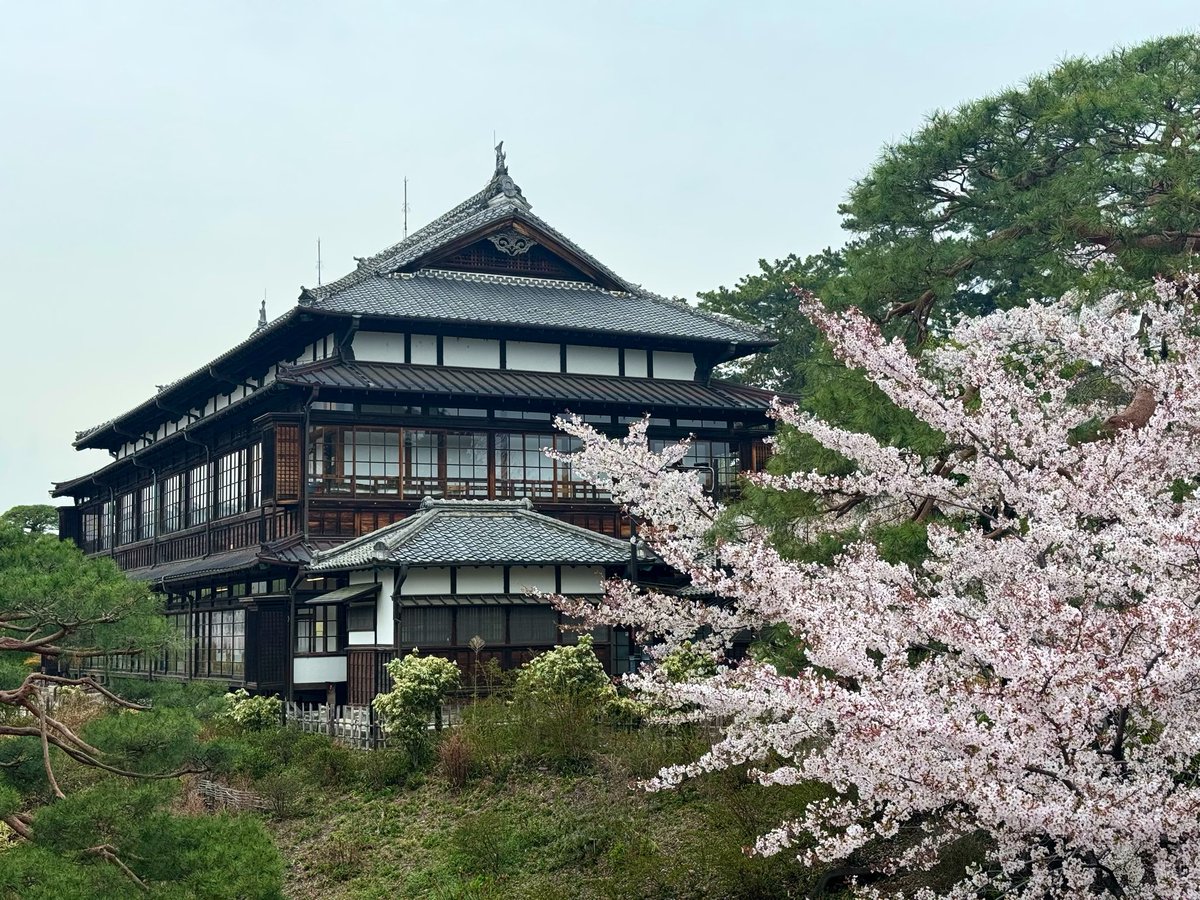 mao✿❀ tweet media