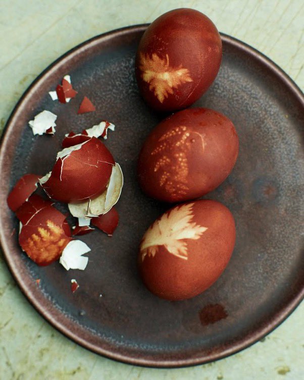 MariosKaratzias's tweet image. Easter Sunday in Cyprus 🇨🇾🔥

Souvla, flaounes &amp;amp; red egg battles 🥚

💥Family time = the best time 💛

#VisitCyprus #Cyprus #HappyEaster

📷 IG georginahayden via @visitcyprus