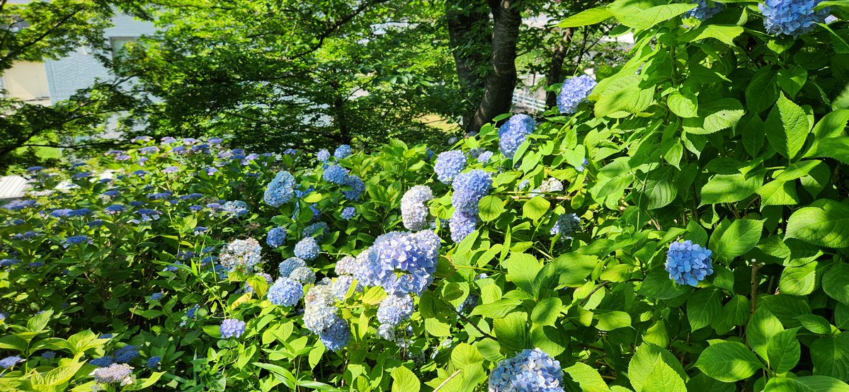 コスビート国見４月５日　１２日予定！ tweet media