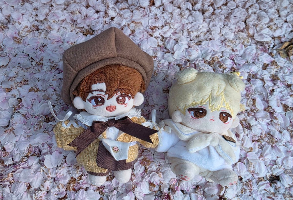 스불재❄️)감자된 검댕댕🥔 tweet media