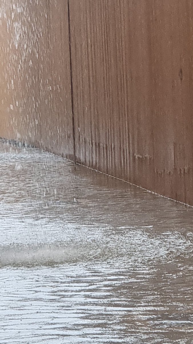 بسبوسة tweet media