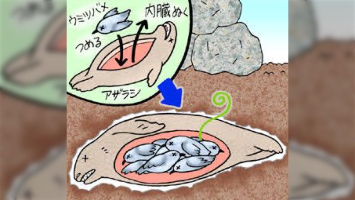 月兎耳庵 つきとじあん🌻未確認生物展🐉まぼろし博覧会/村崎百郎記念館ギャラリー常設 tweet media