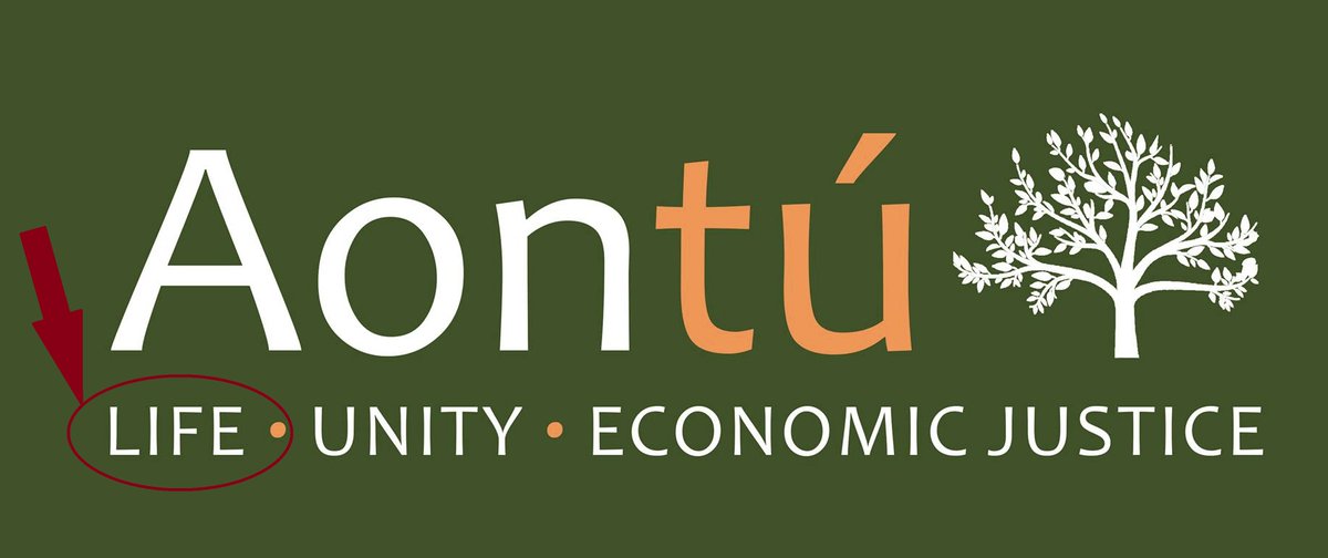 David W. Higgins tweet media