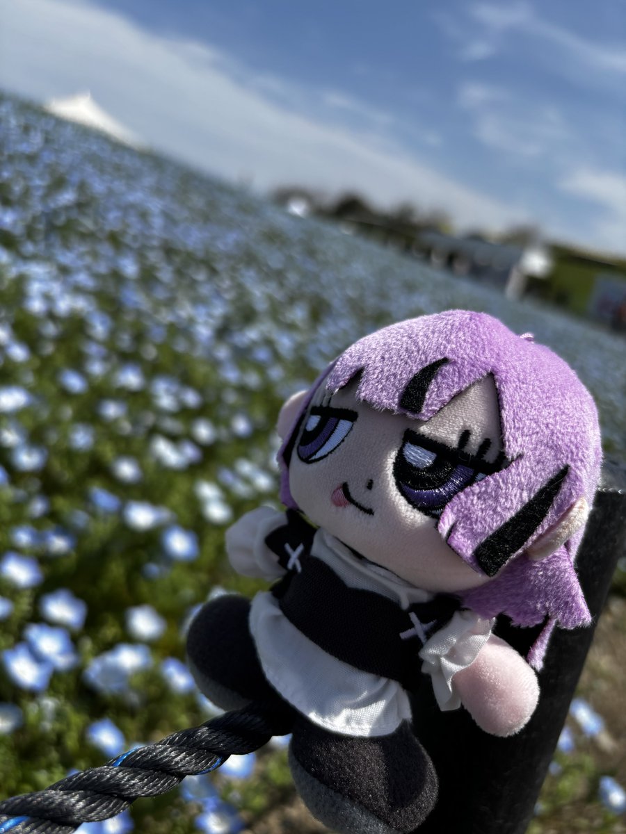 ʕ•ᴥ•ʔ 🎖️ tweet media