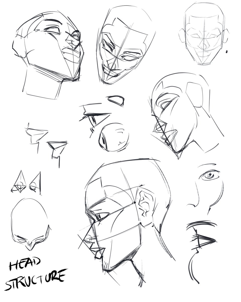 AfdsBm's tweet image. Notes on Head Structure from LIVE Art Study Session 12. Join our patreon to get access to weekly/ or once a month live studies Fridays at 8PM Eastern at patreon.com/afdsbm 

#arttutorial #artstudies #patreon