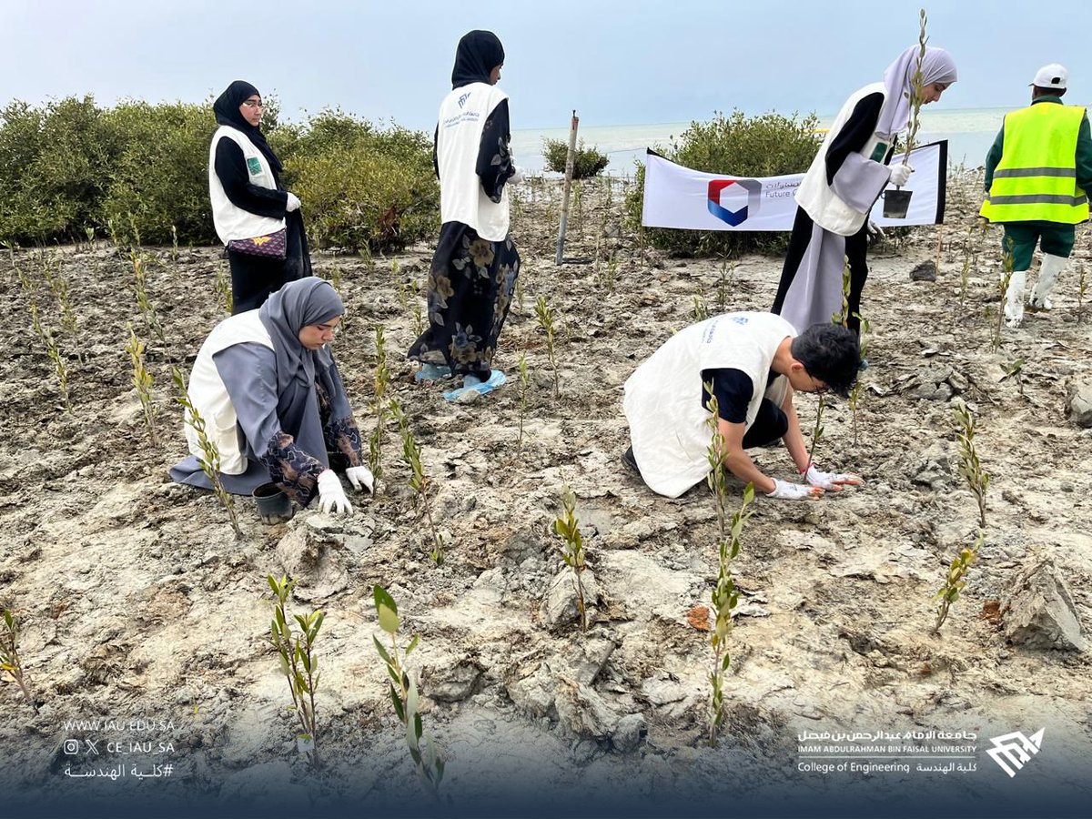 كلية الهندسة tweet media