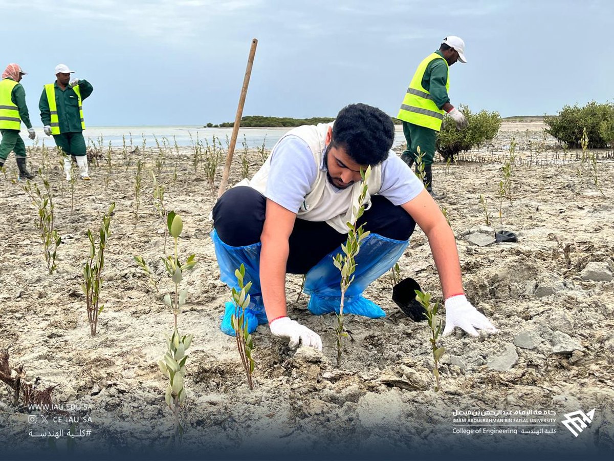 كلية الهندسة tweet media