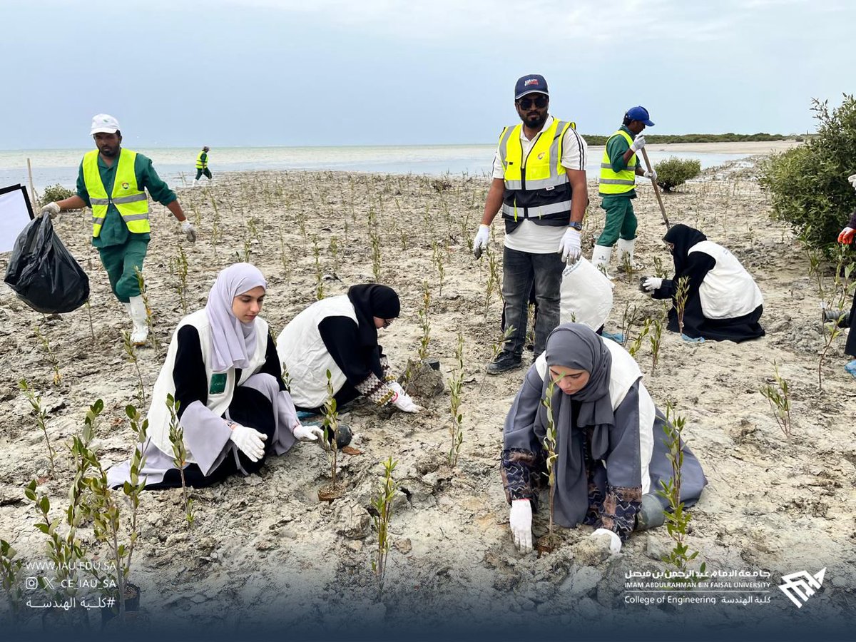 كلية الهندسة tweet media