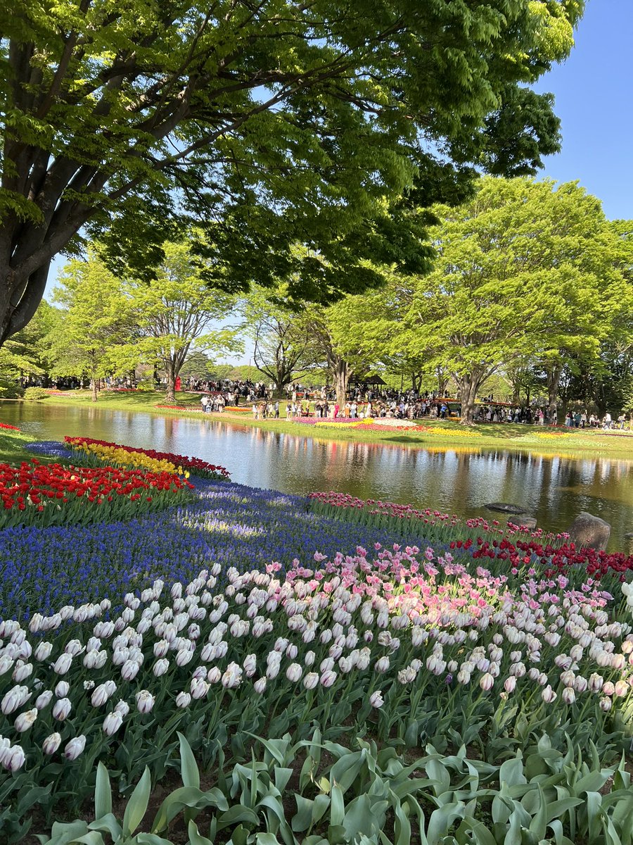 うつき tweet media