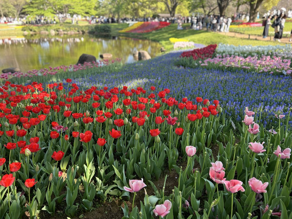 うつき tweet media