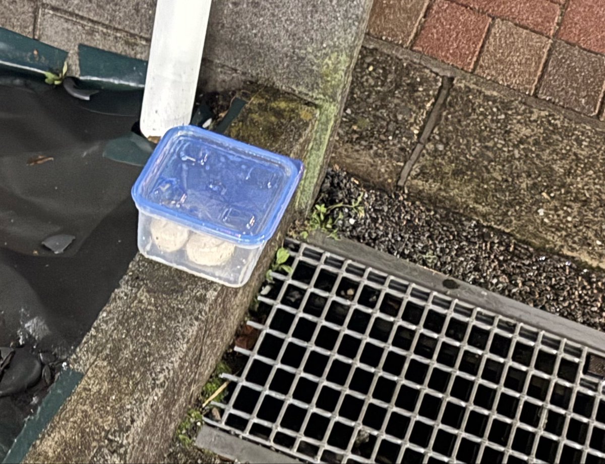 背中たんです。「バズる」と「炎上」混合しないで貰えます?(名前だけでも覚えて帰って下さい tweet media