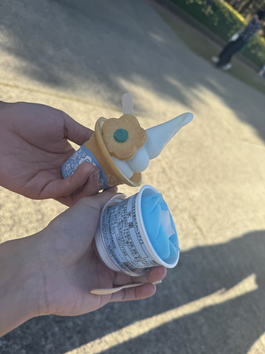 しゃるとりあ tweet media