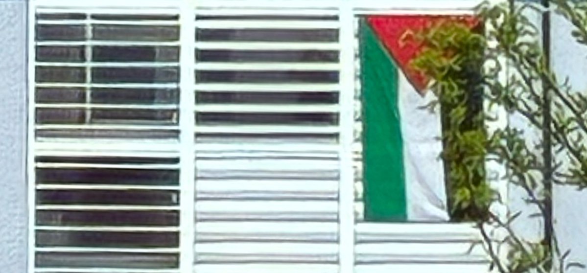 Luciano Mondino tweet media