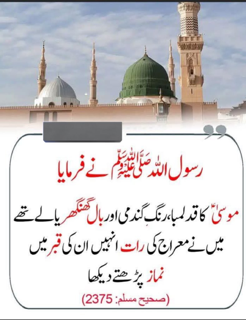 سردار شفیق خان tweet media