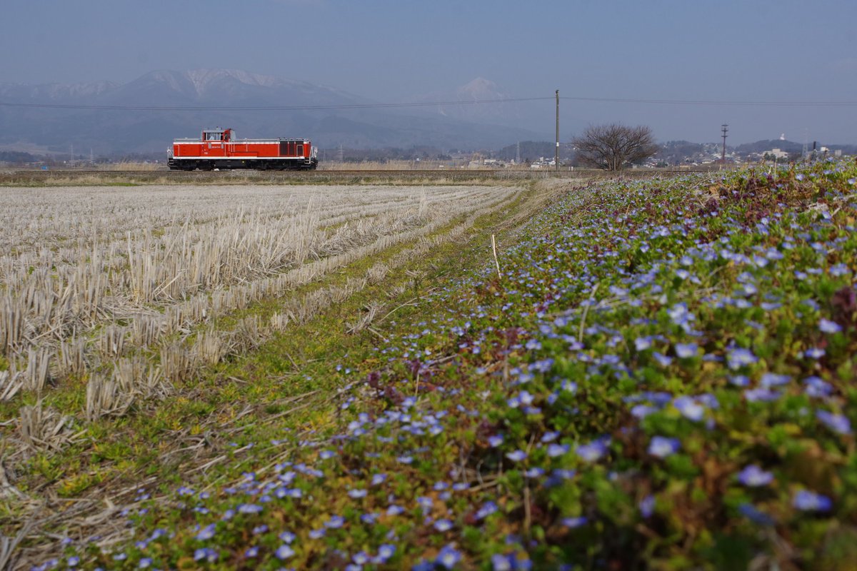 Na-Ka-Ya tweet media