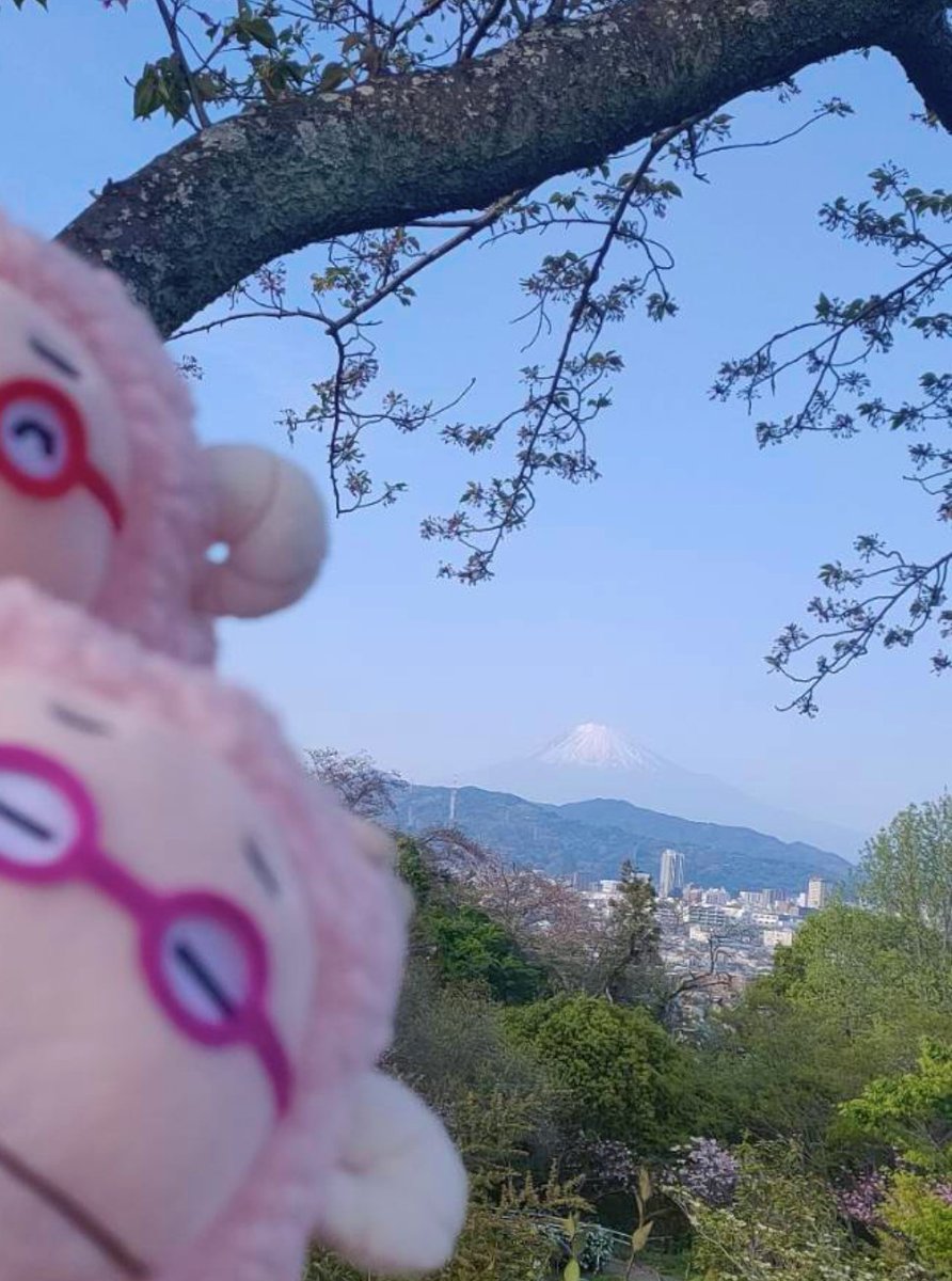 かえるのりんりん tweet media