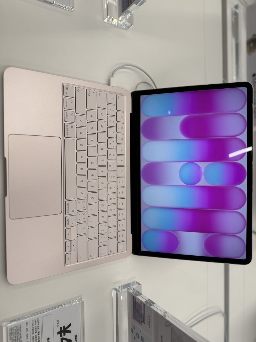 Mr Panda tweet media