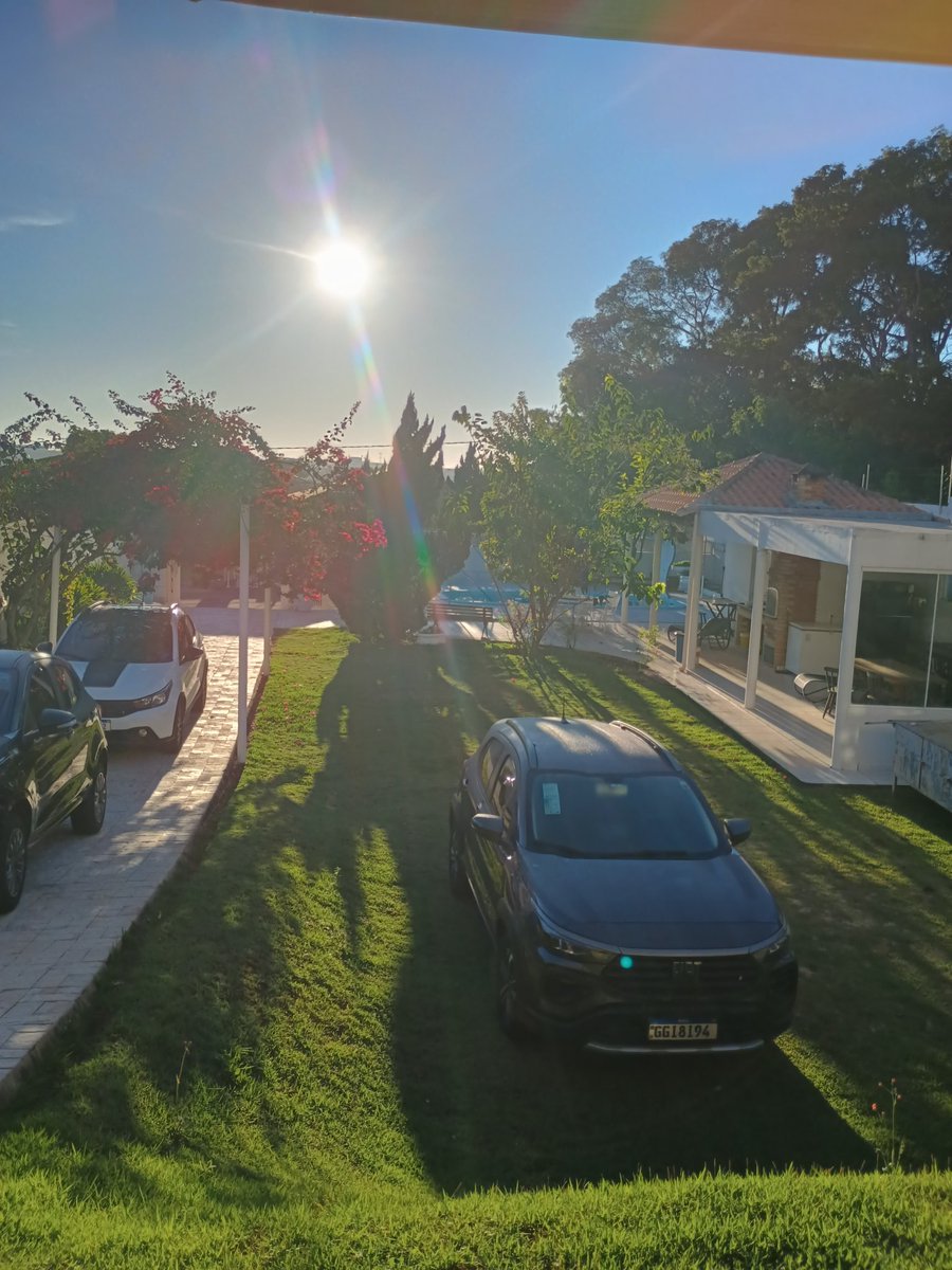 Cida Barcelos tweet media