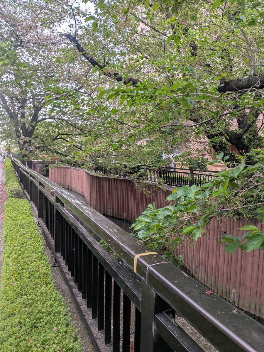 どー つぶやきはするけどX通常再開未定 tweet media