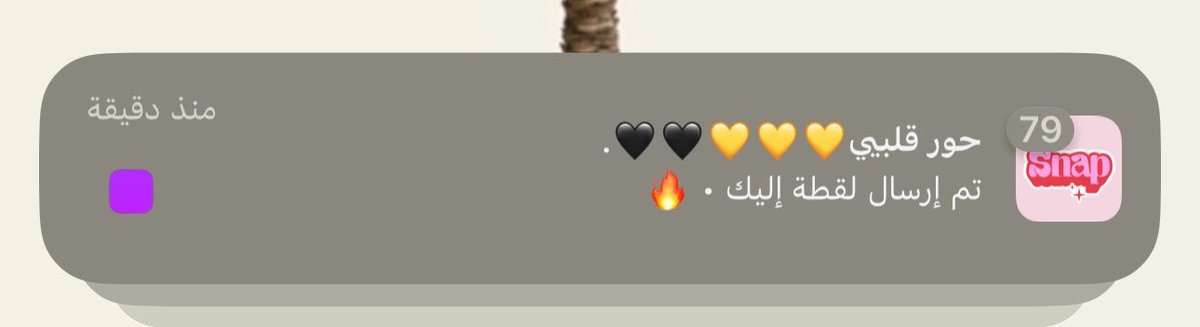 🐆 tweet media