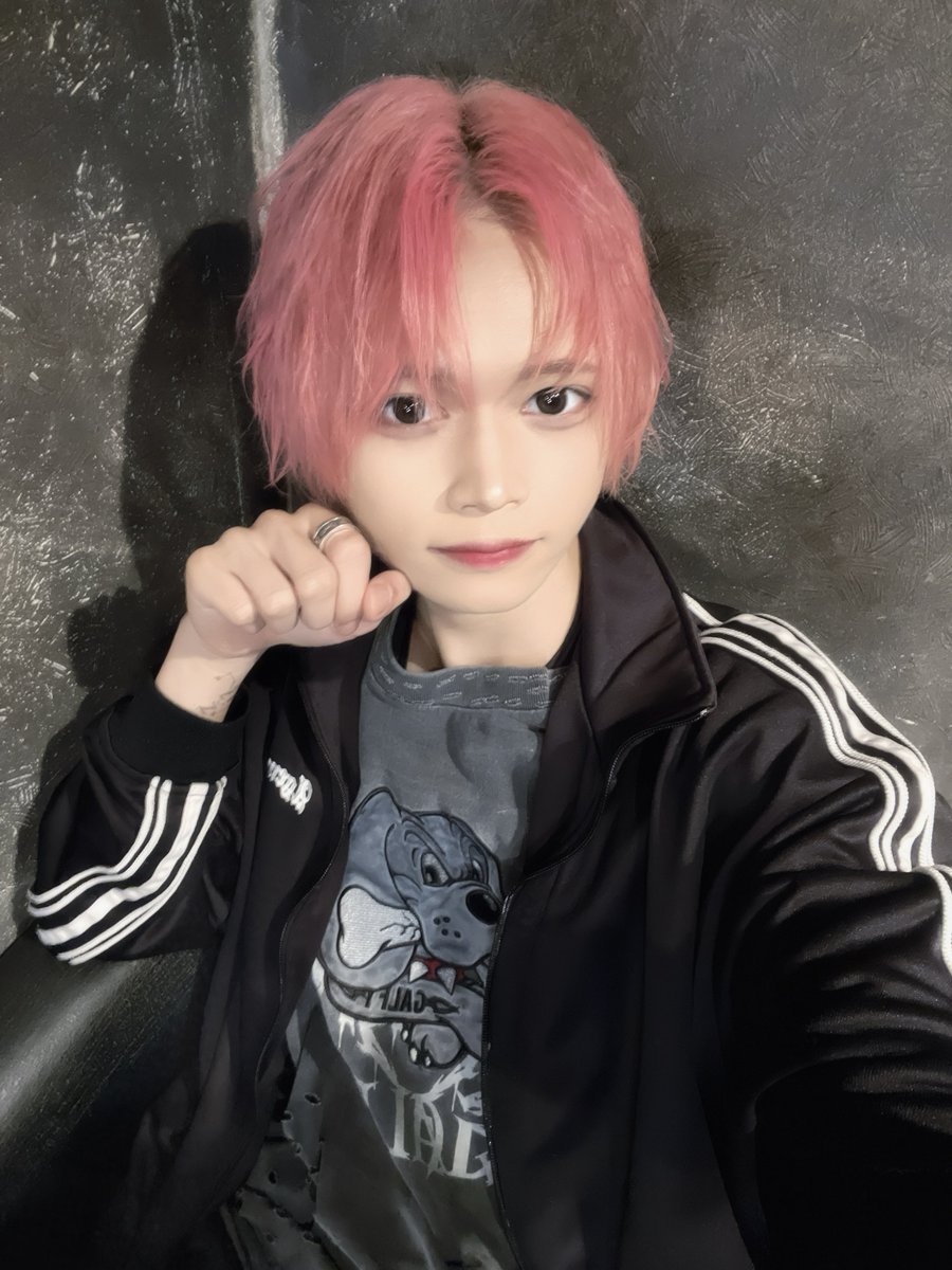 猫も食う tweet media