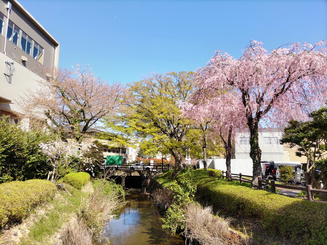 佐々木ひとみ＠「ともに前へ！　伊達武将隊奮闘記」 tweet media