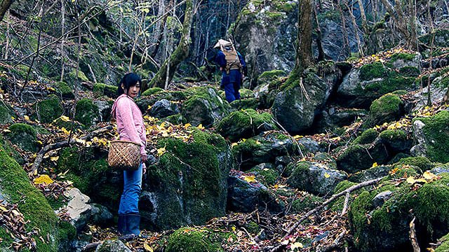 魔の山 tweet media