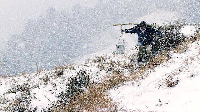 魔の山 tweet media