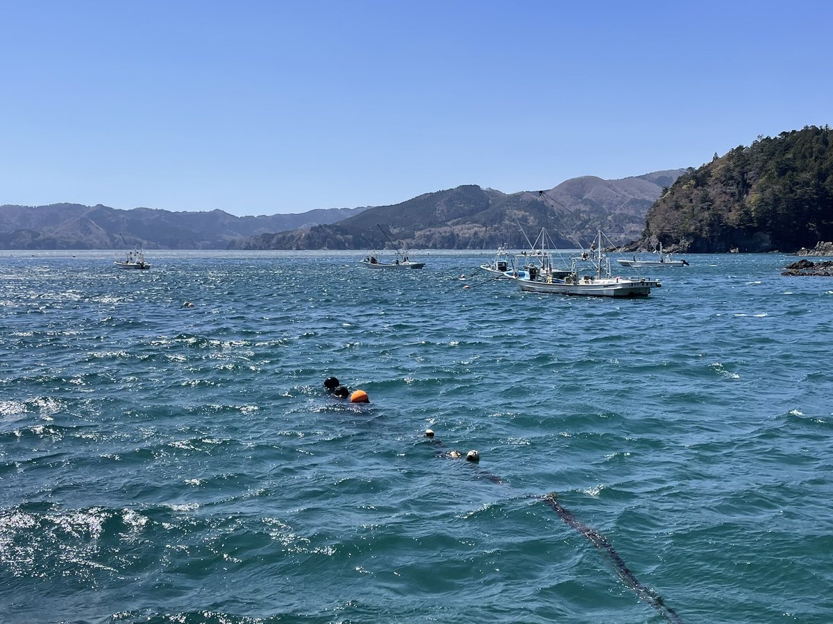 おおつか tweet media