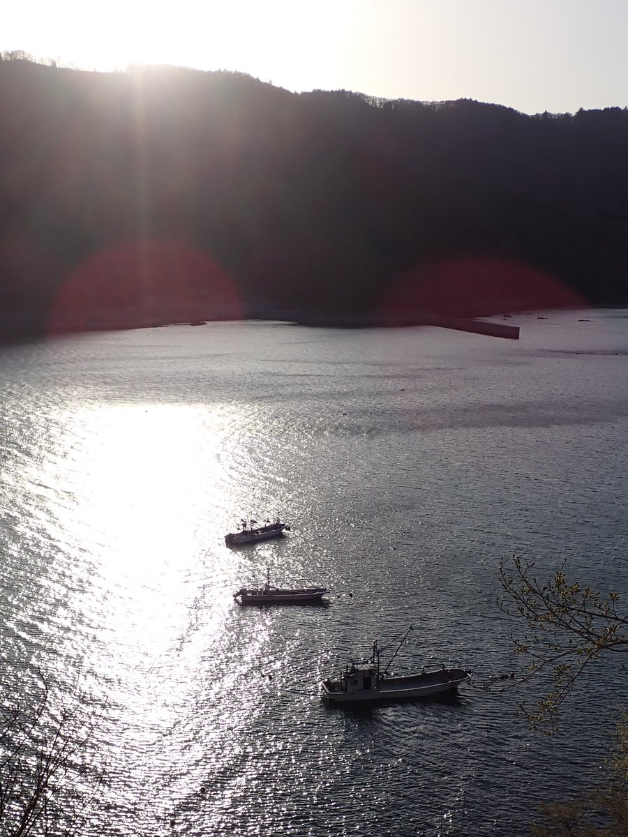 おおつか tweet media