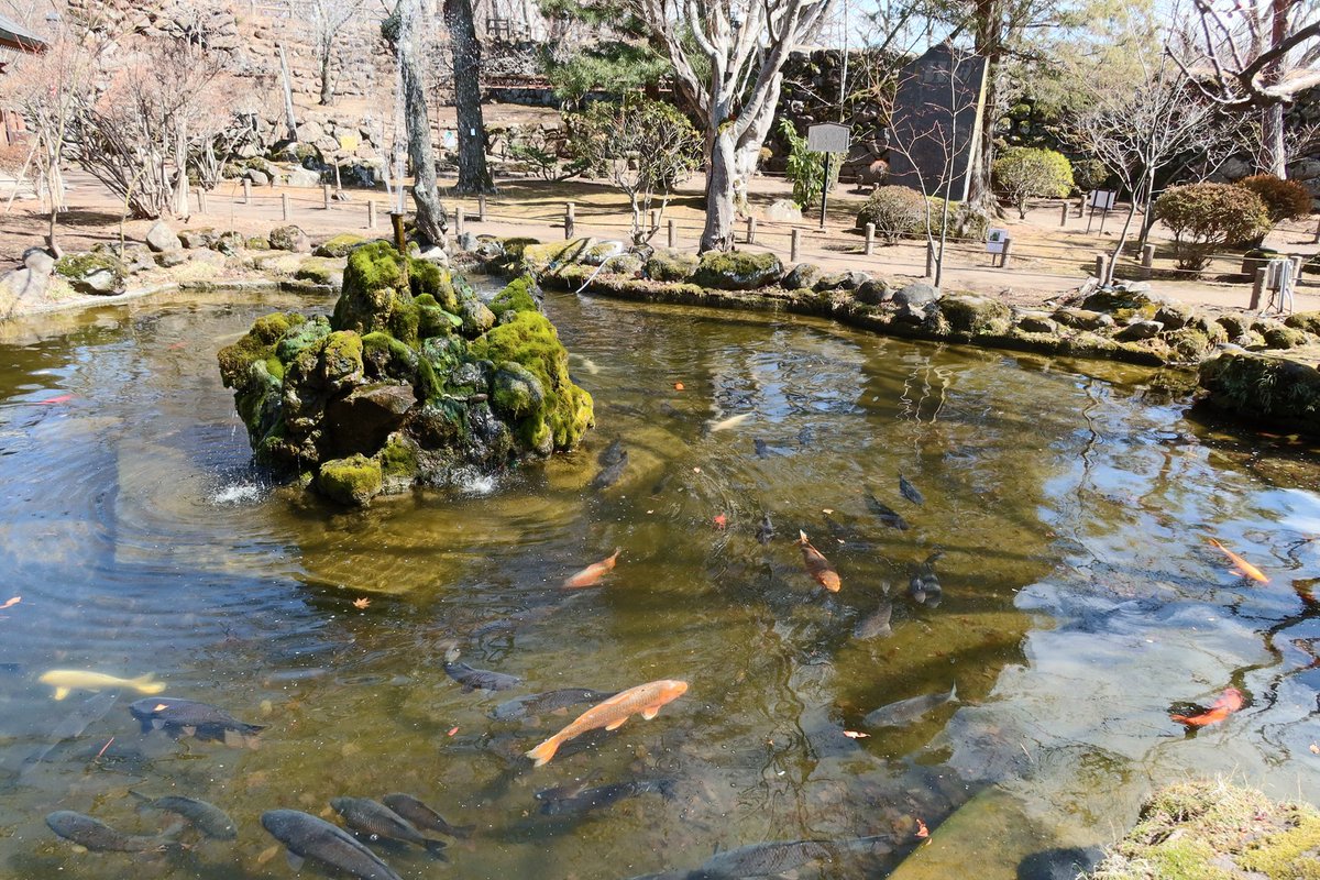 かむかむ tweet media