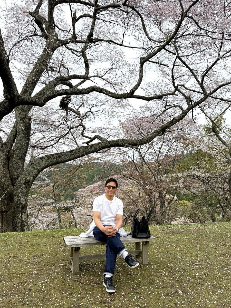 nomura60kg's tweet photo. 先日、吉野山の桜を観てきました。
人も多いし、坂道もなかなかきつい。
でも、その先に広がる景色は素晴らしかった🌸 https://t.co/Af29KVReUf