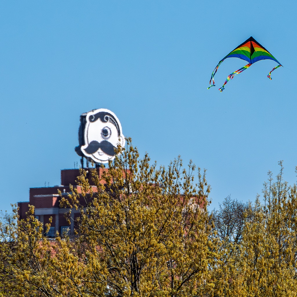 jawsdcfd's tweet photo. When you tell Mr Boh to go fly a kite... @creativalliance https://t.co/rZJkuZDLH0