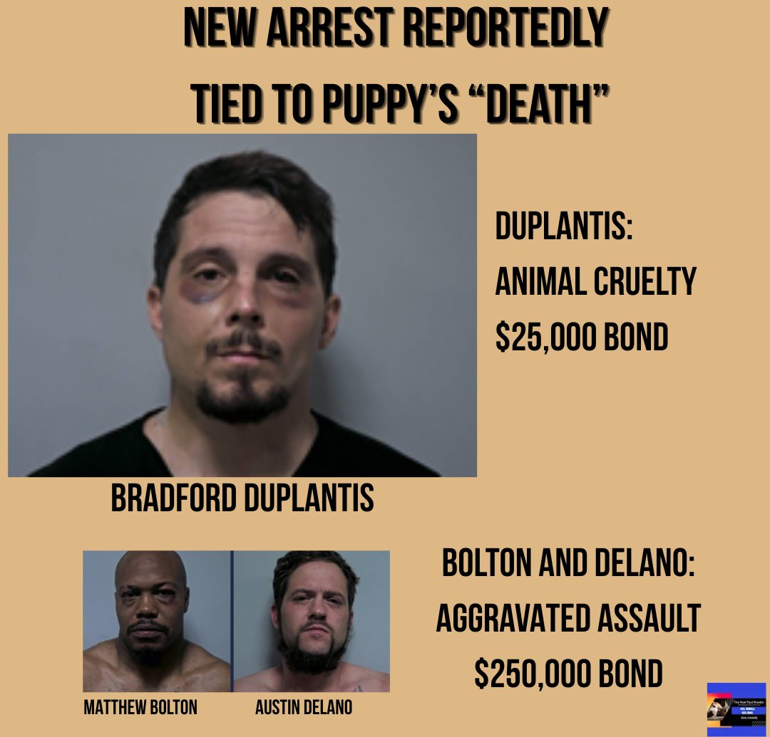 Paul Mueller tweet media