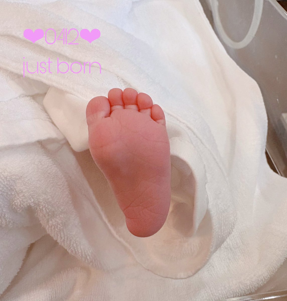 ぴも❤︎0m👶 tweet media