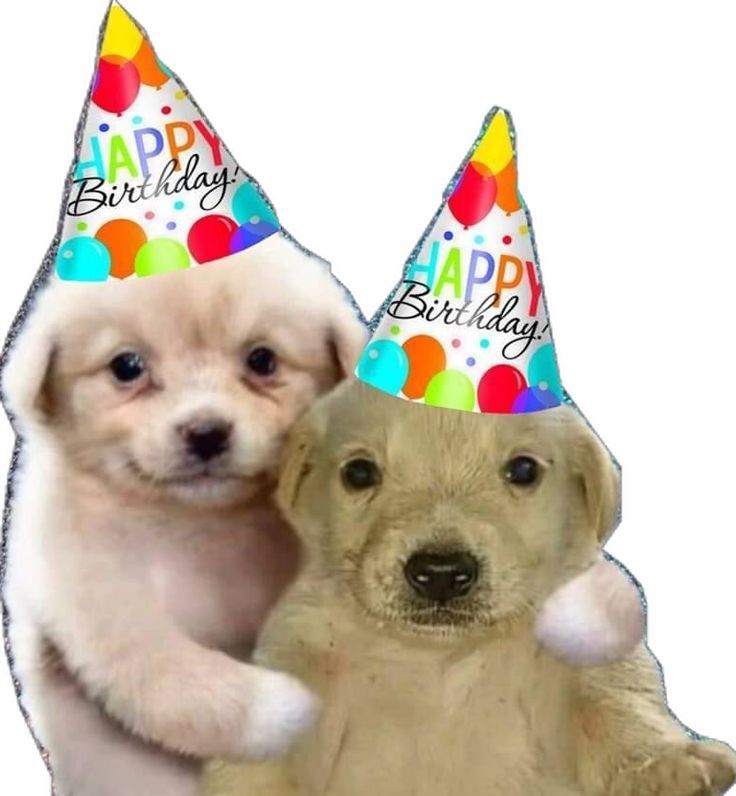 miss mimi ⚕ tweet media