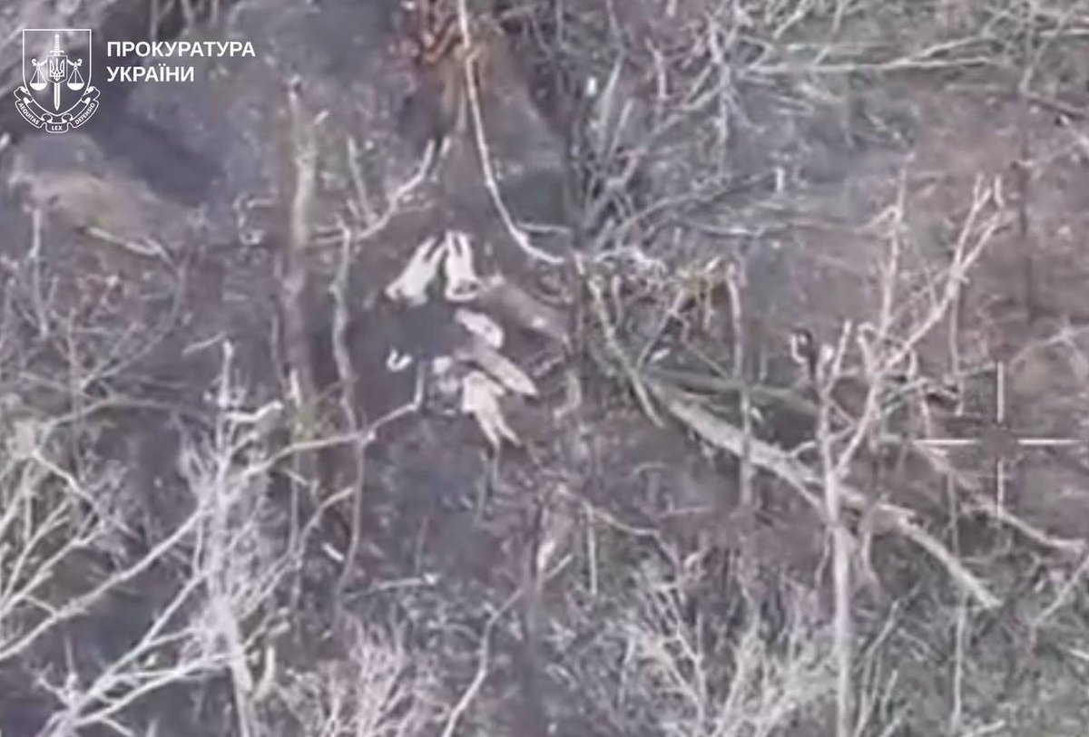 Obserwator Wojen tweet media