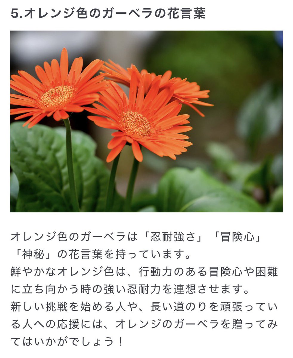 can_2u(きゃん) tweet media